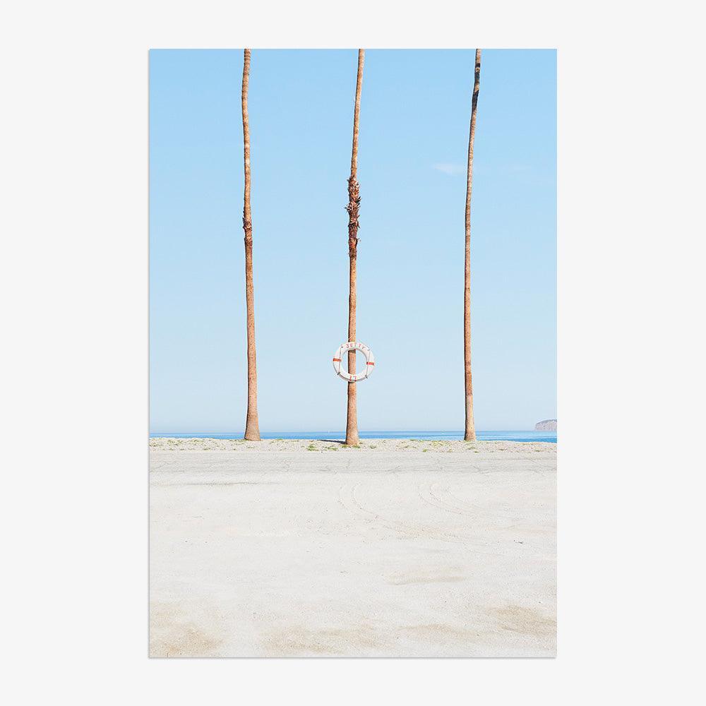 Photograph by James Needham