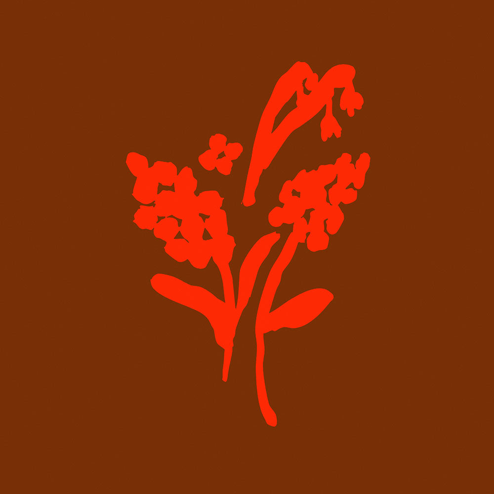 Print by Marleigh Culver