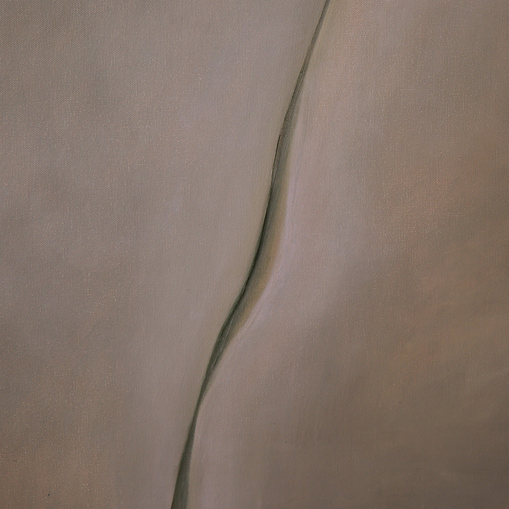 Close-up texture of a painting featuring a single sweeping soft organic curve dividing a muted brown surface