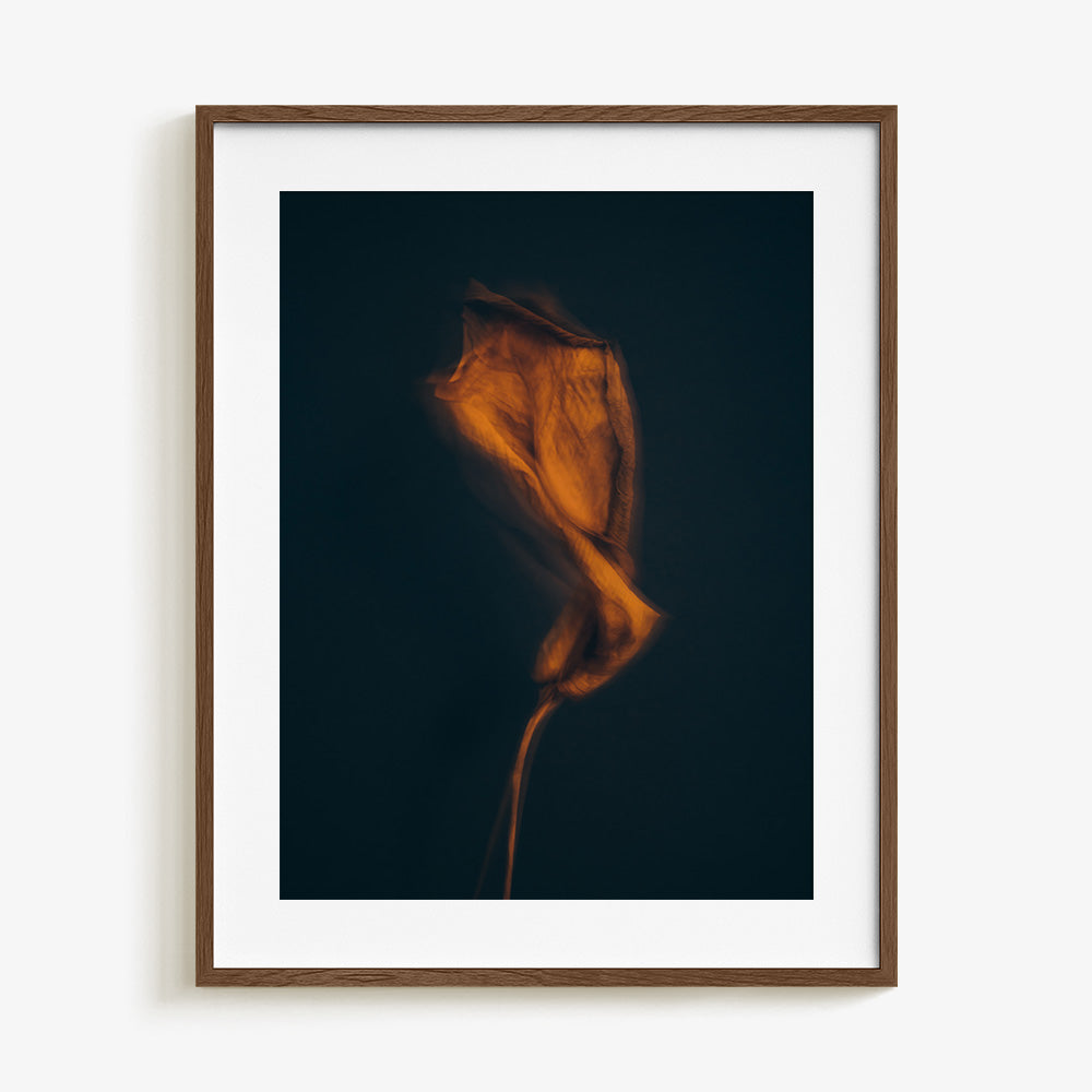 Photograph by Jan Prengel