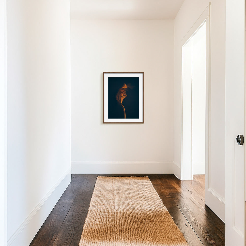 Photograph by Jan Prengel