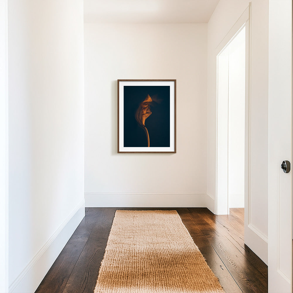 Photograph by Jan Prengel