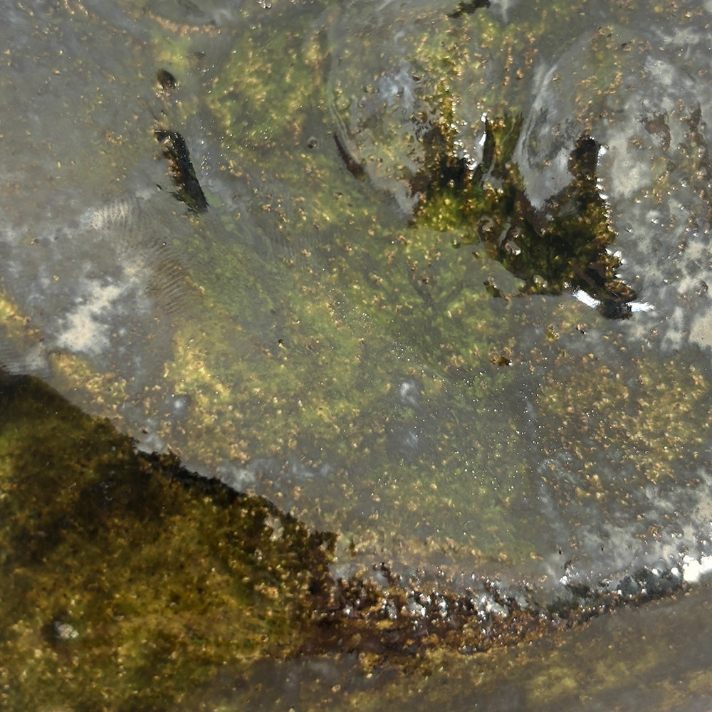 Moss