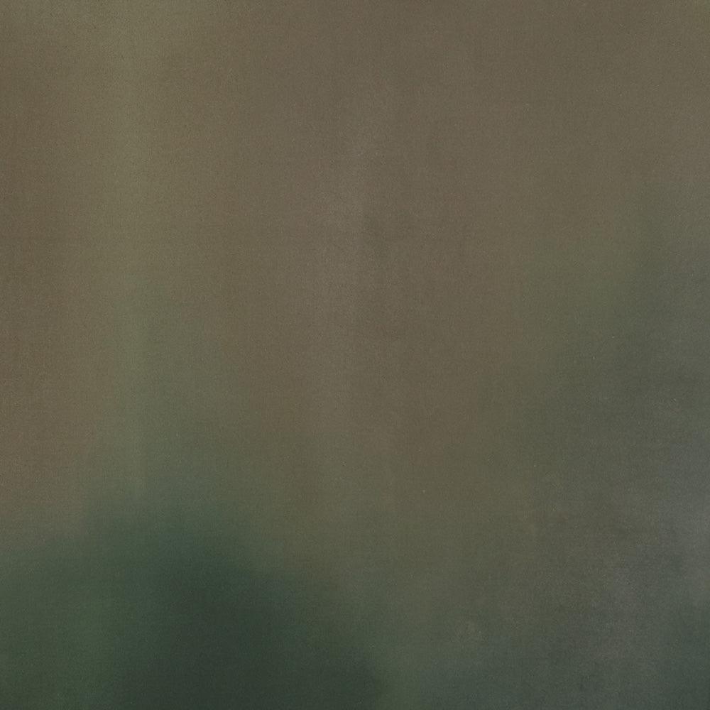 Painting by Ali Enache