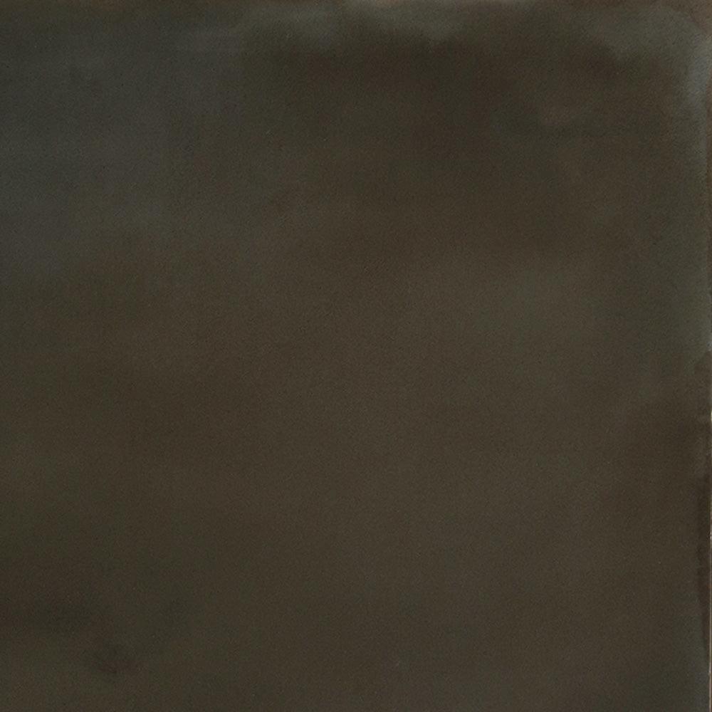 Painting by Ali Enache