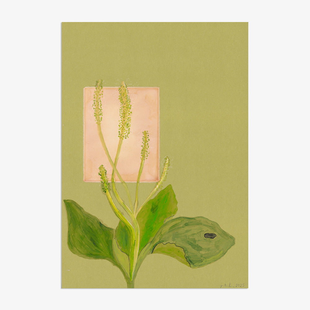 Painting by Johanna Tagada Hoffbeck