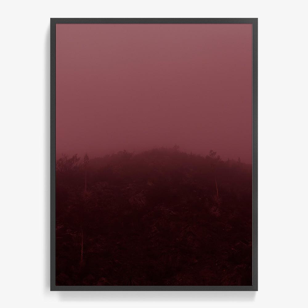 Photograph by Neil Kryszak