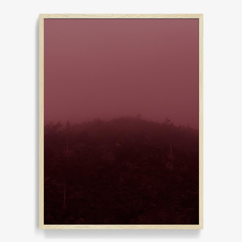 Photograph by Neil Kryszak