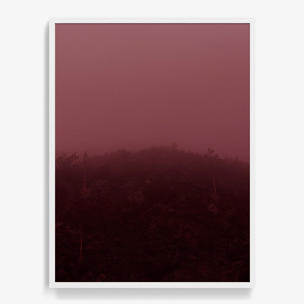 Photograph by Neil Kryszak