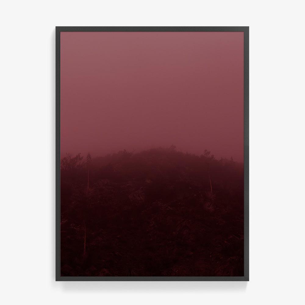Photograph by Neil Kryszak