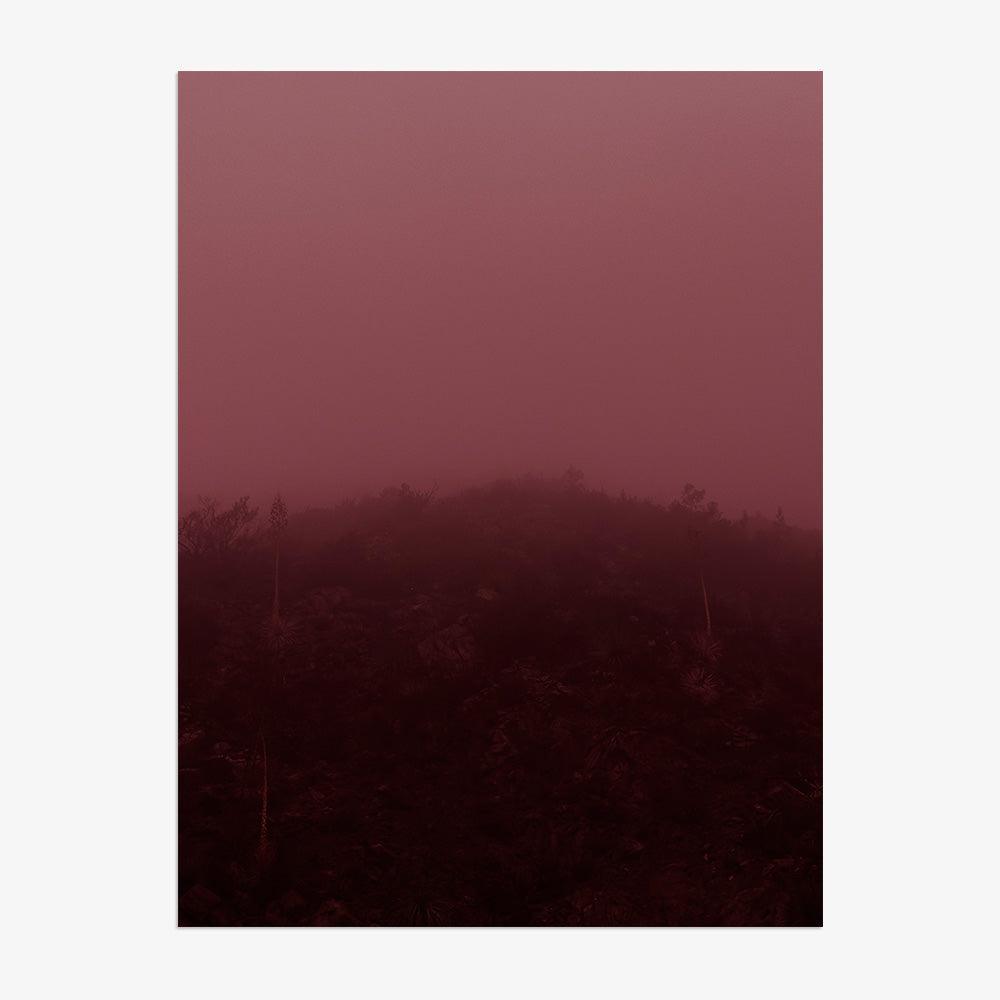 Photograph by Neil Kryszak