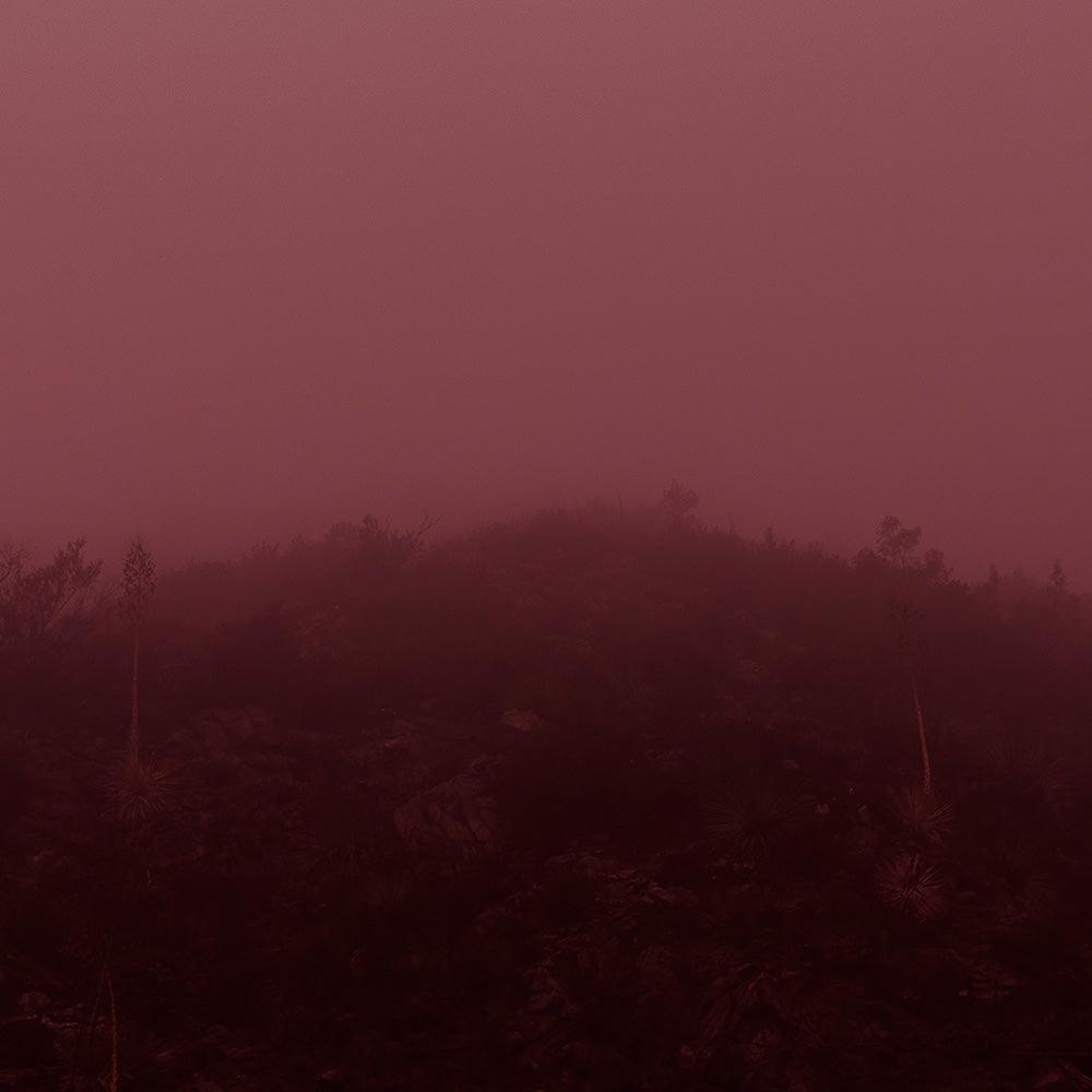 Photograph by Neil Kryszak