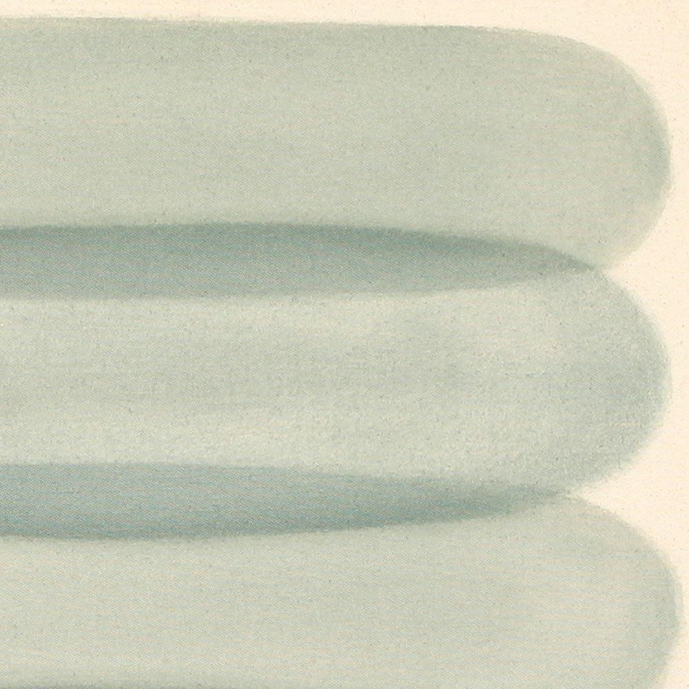 Ovals in Sage n.3