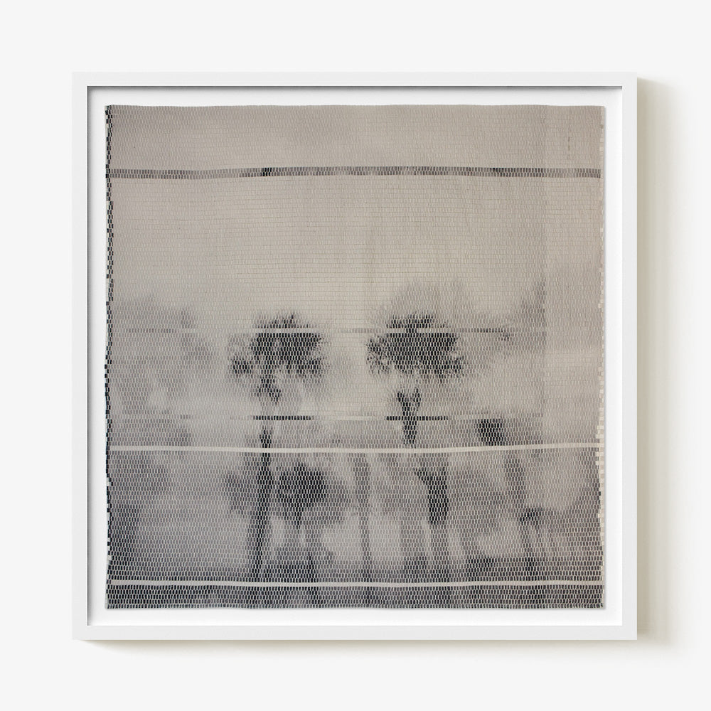 Palm Trees
