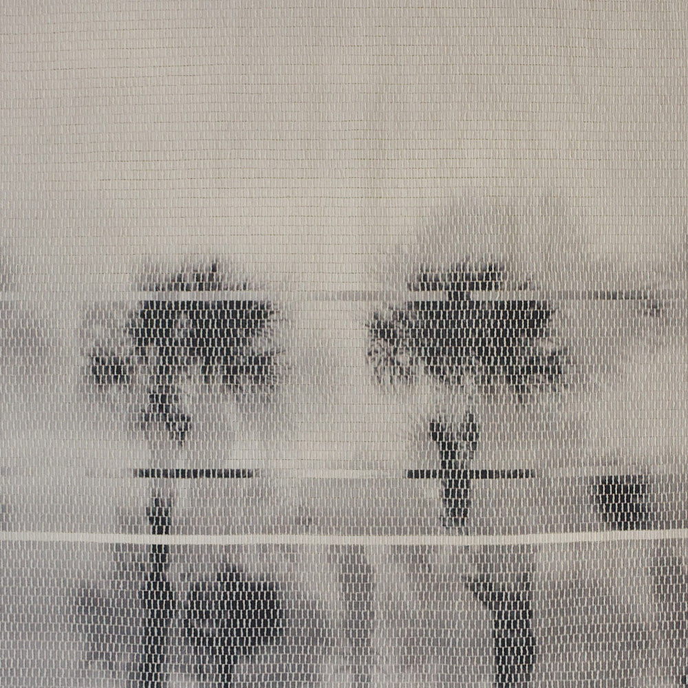 Palm Trees