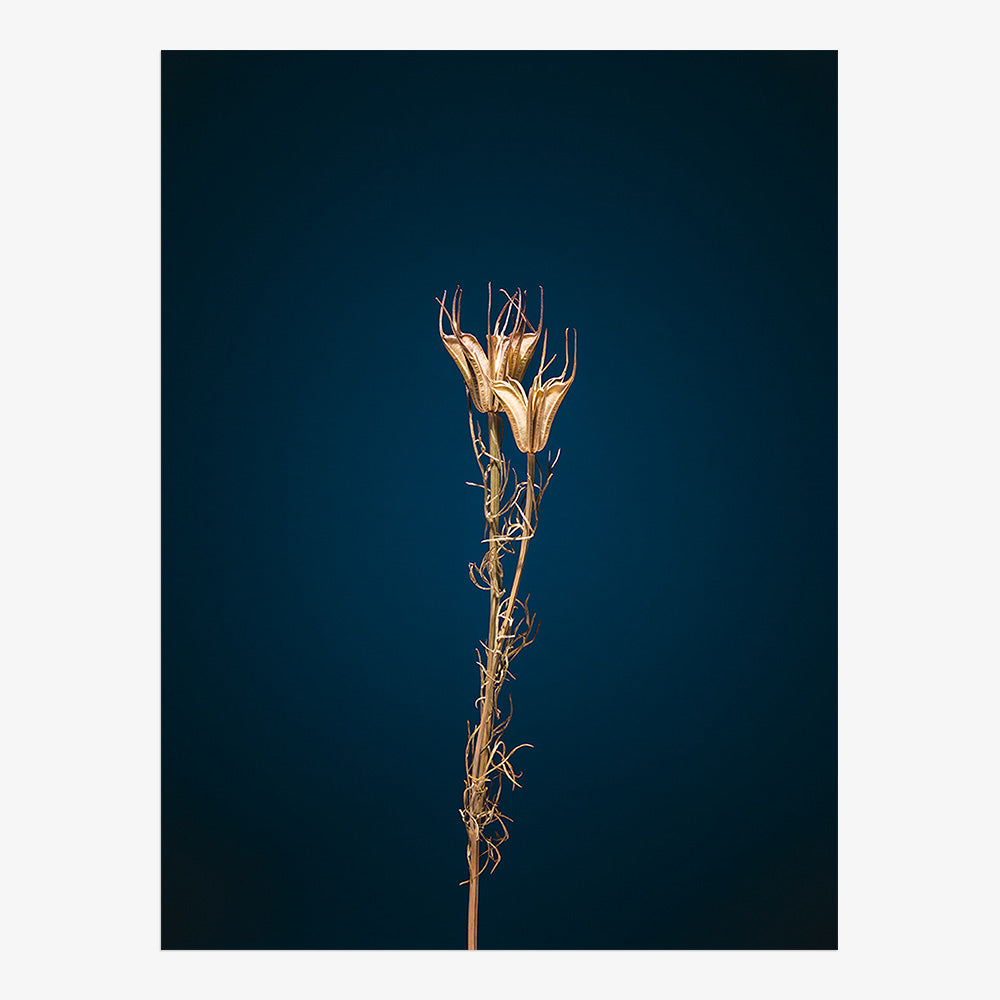 Photograph by Jan Prengel