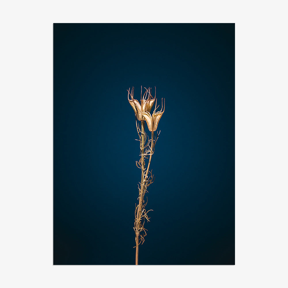 Photograph by Jan Prengel
