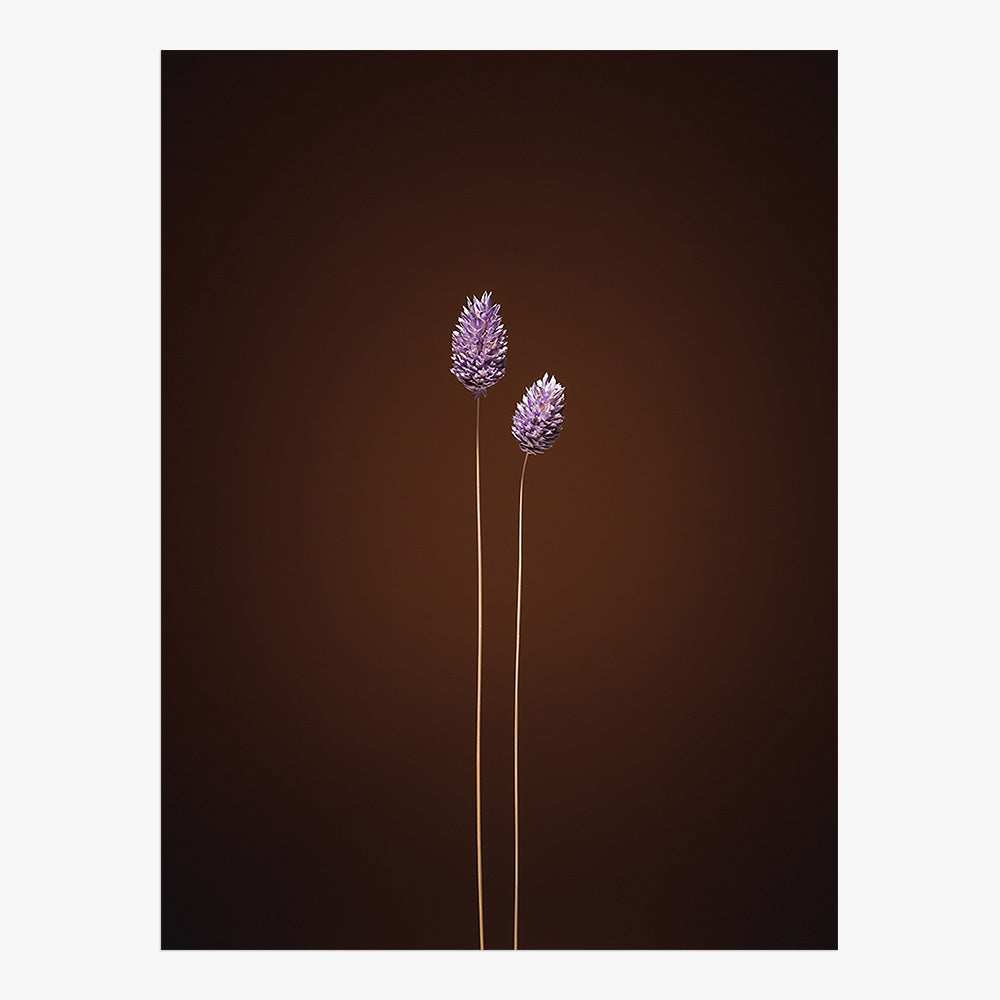 Photograph by Jan Prengel