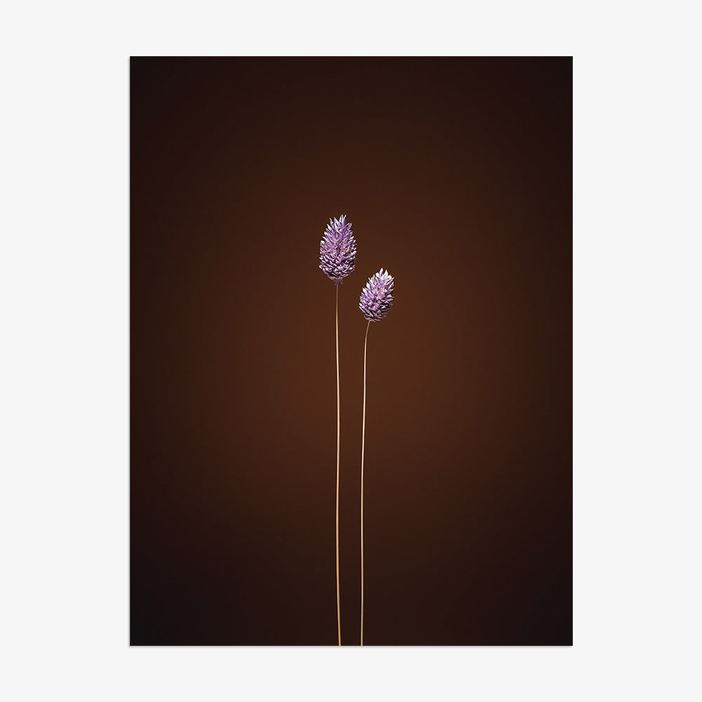 Photograph by Jan Prengel