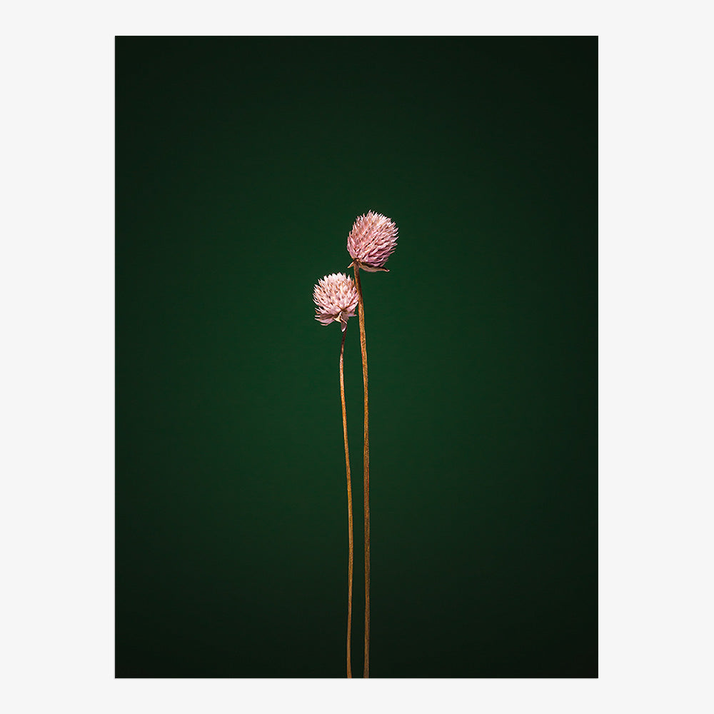 Photograph by Jan Prengel