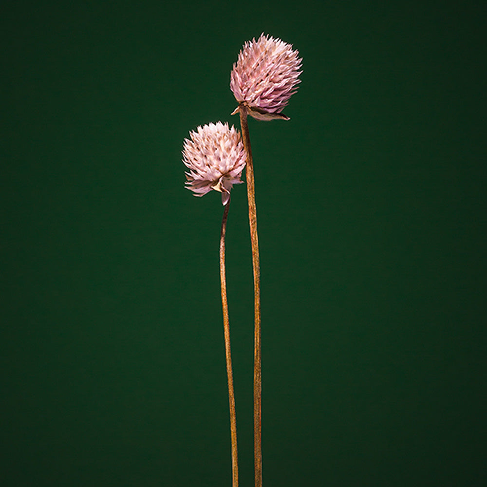 Photograph by Jan Prengel