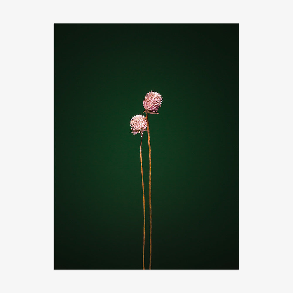 Photograph by Jan Prengel