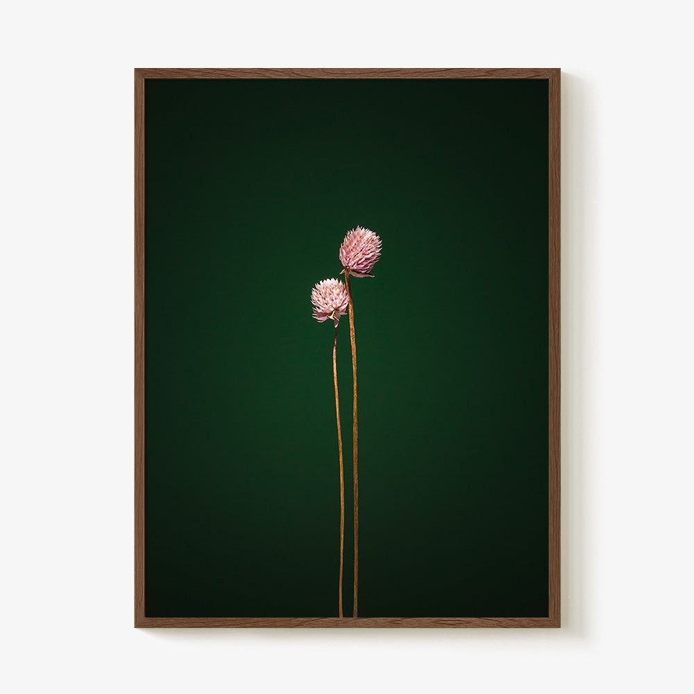Photograph by Jan Prengel