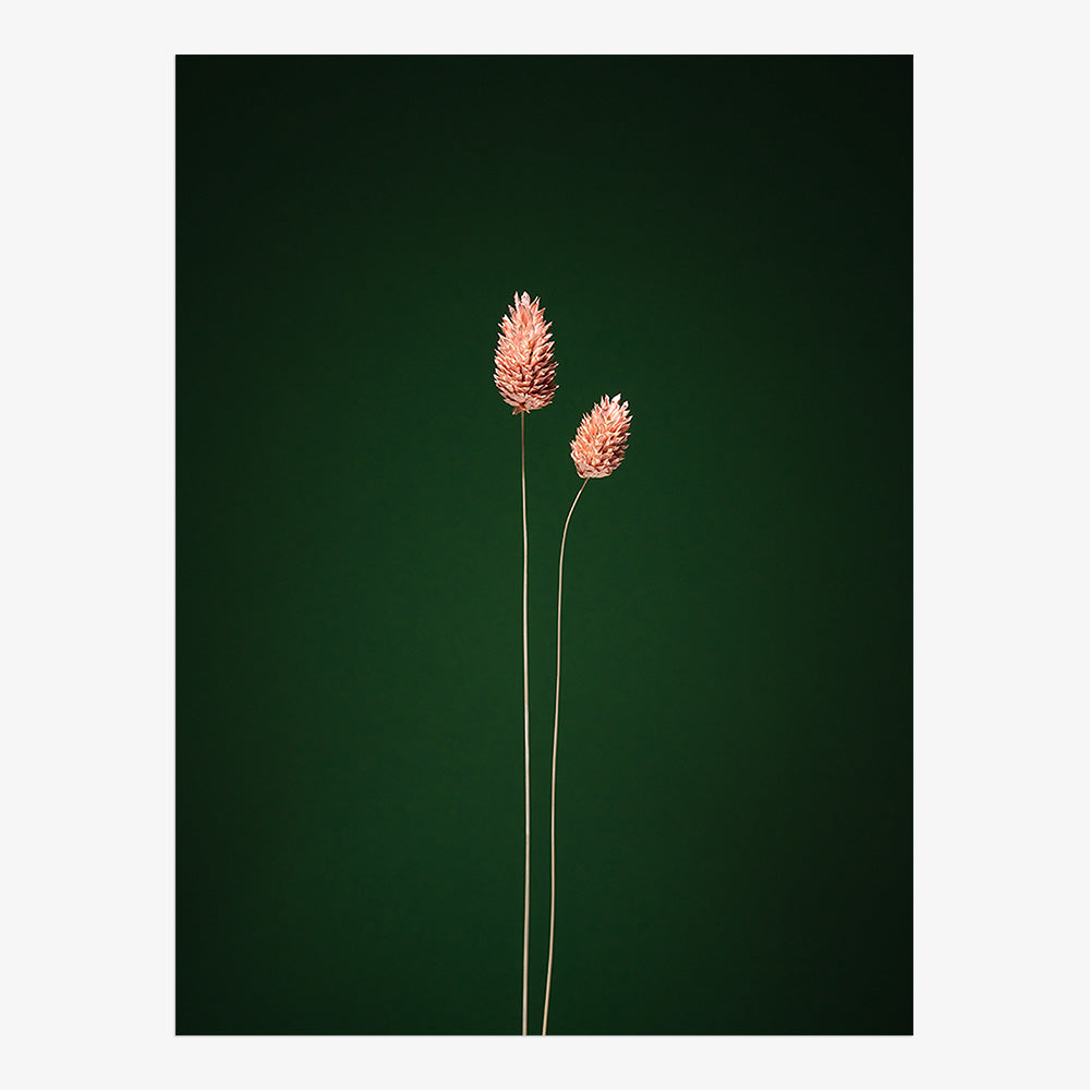 Photograph by Jan Prengel