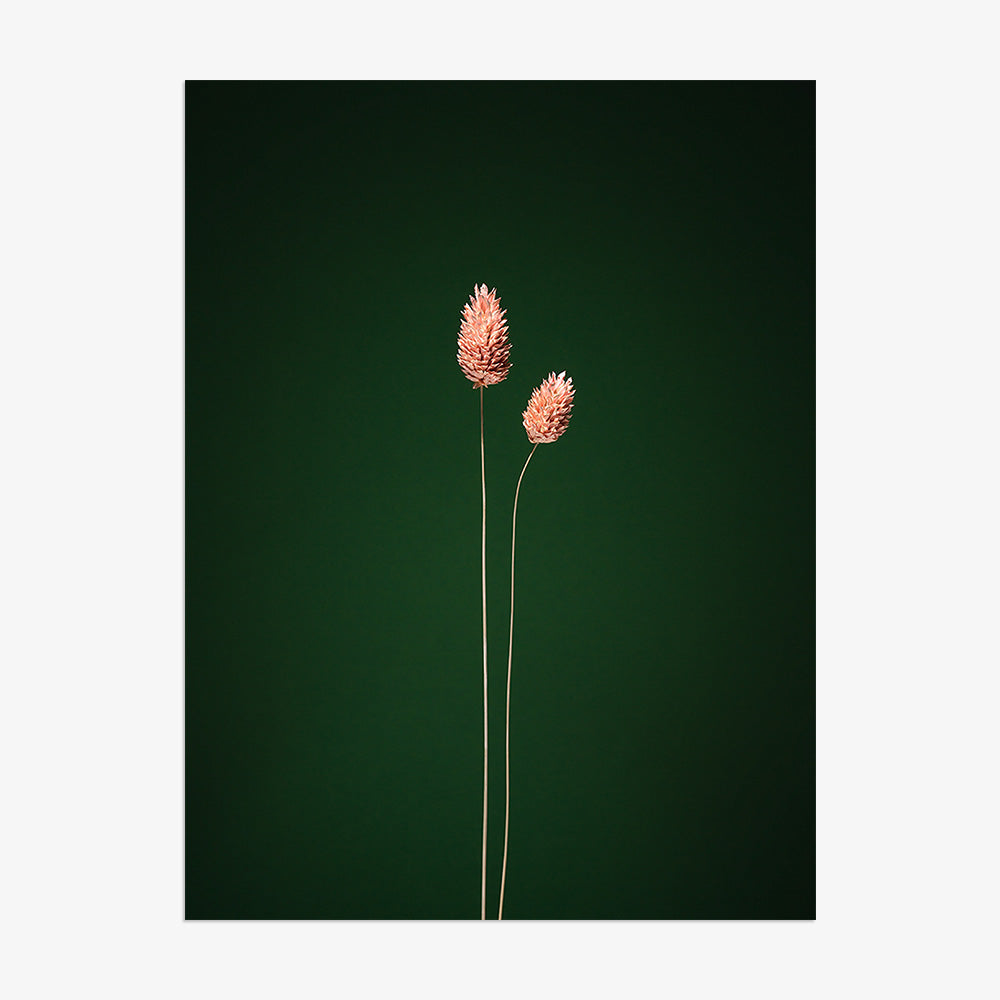 Photograph by Jan Prengel