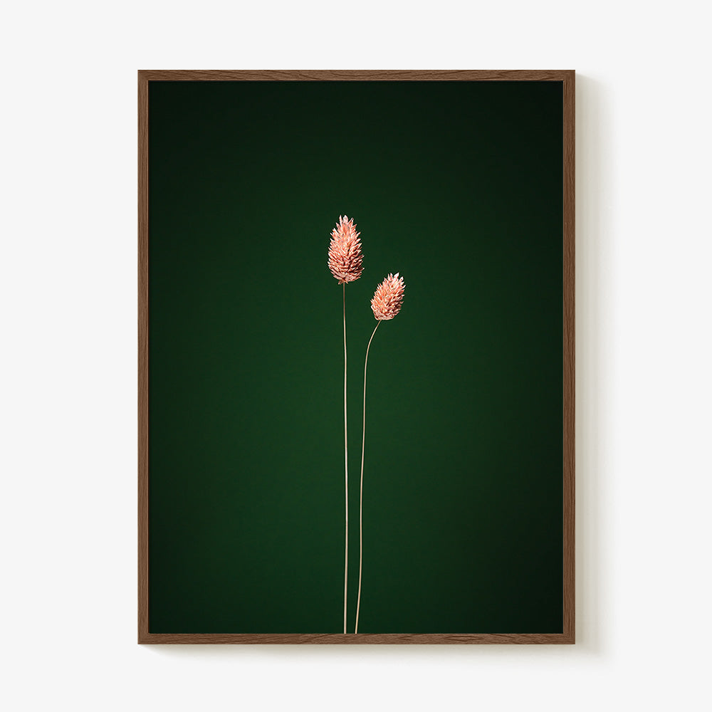 Photograph by Jan Prengel