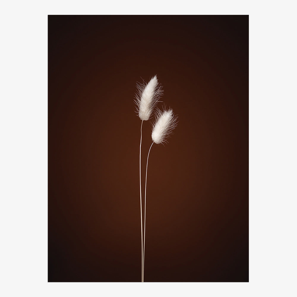 Photograph by Jan Prengel
