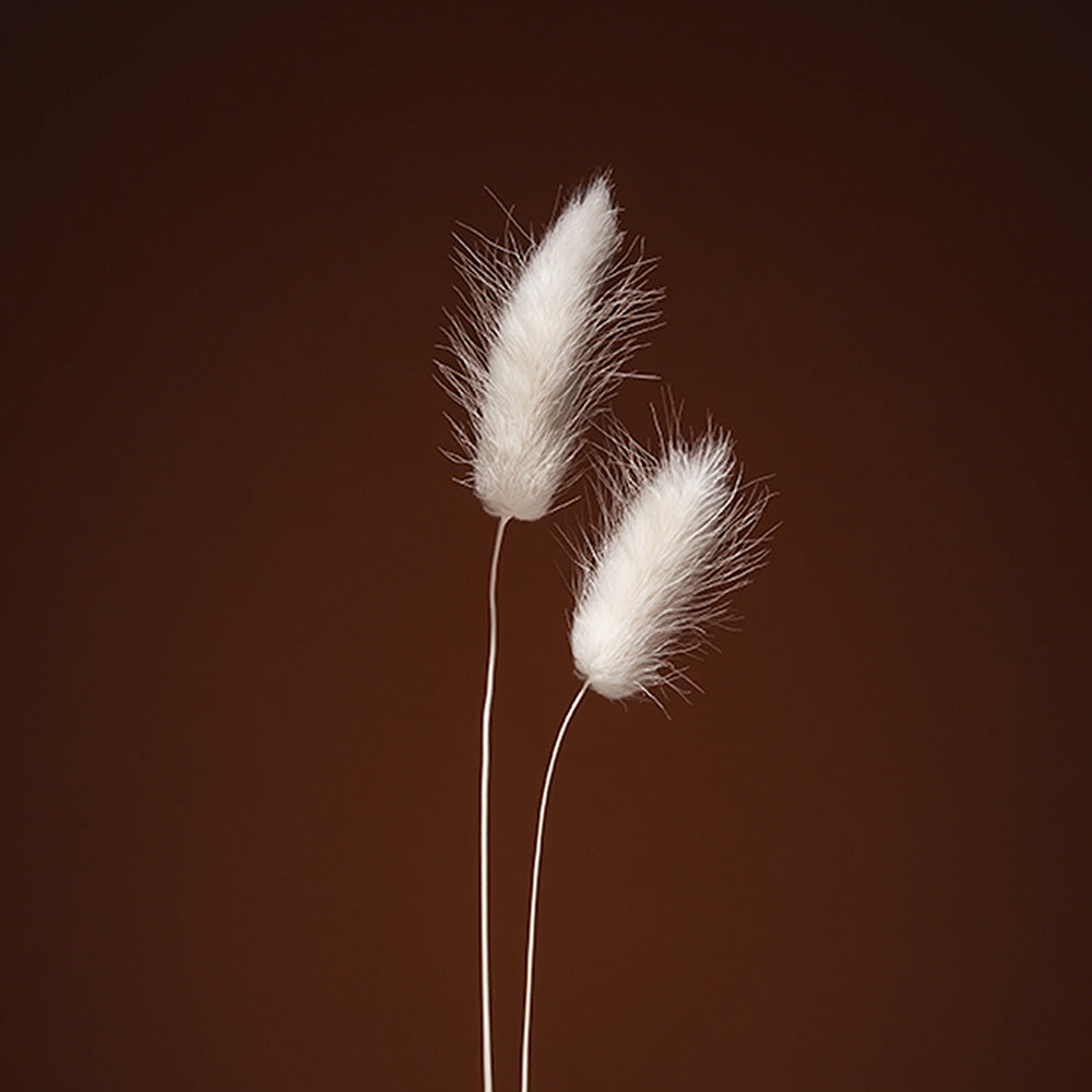 Photograph by Jan Prengel