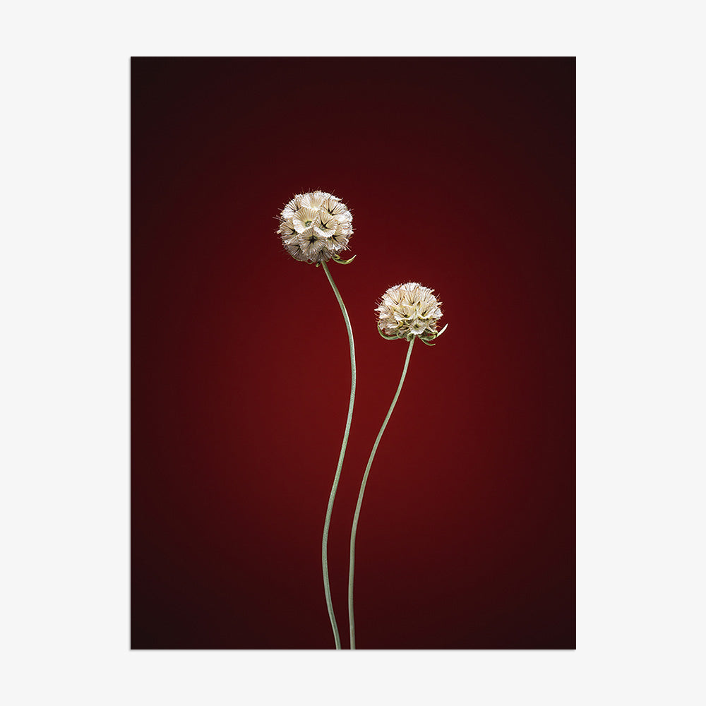 Photograph by Jan Prengel