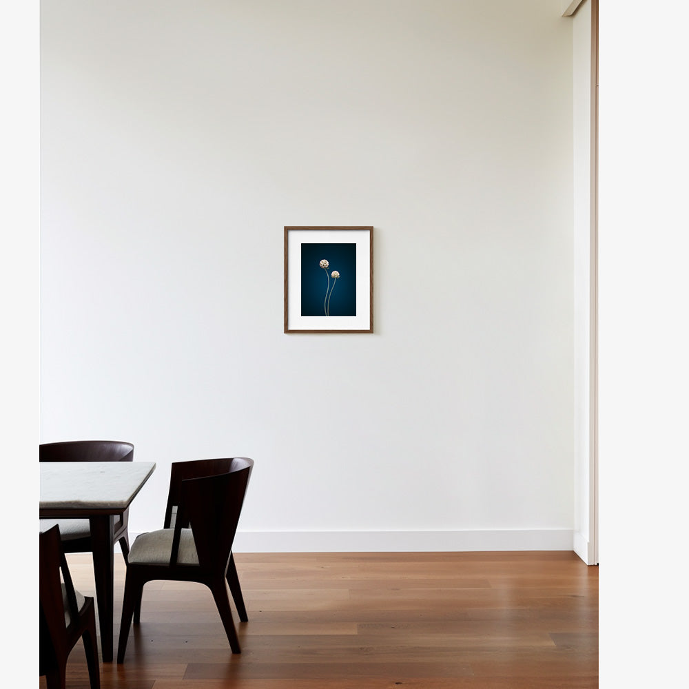 Photograph by Jan Prengel