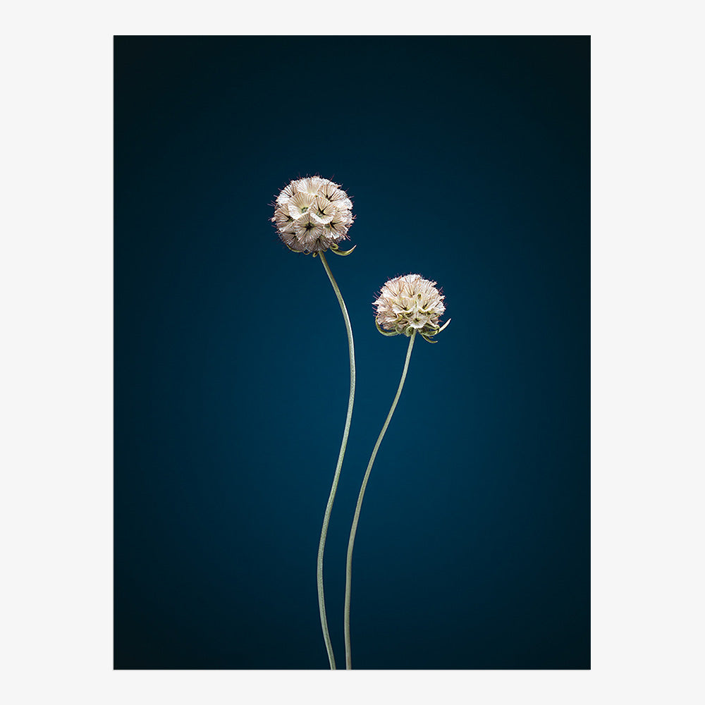 Photograph by Jan Prengel