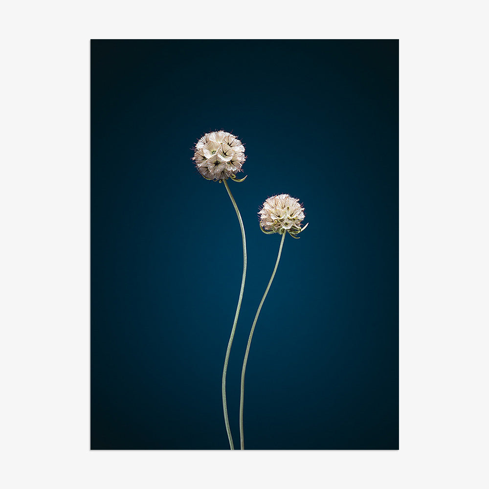 Photograph by Jan Prengel