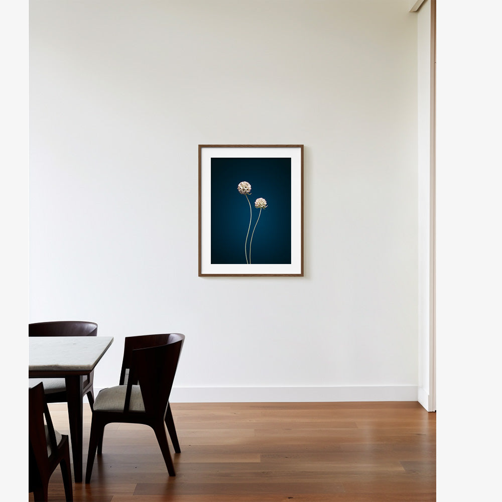 Photograph by Jan Prengel