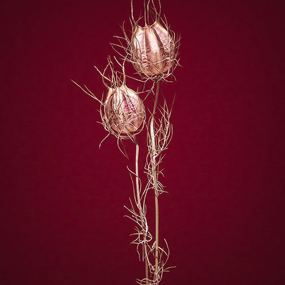 Photograph by Jan Prengel
