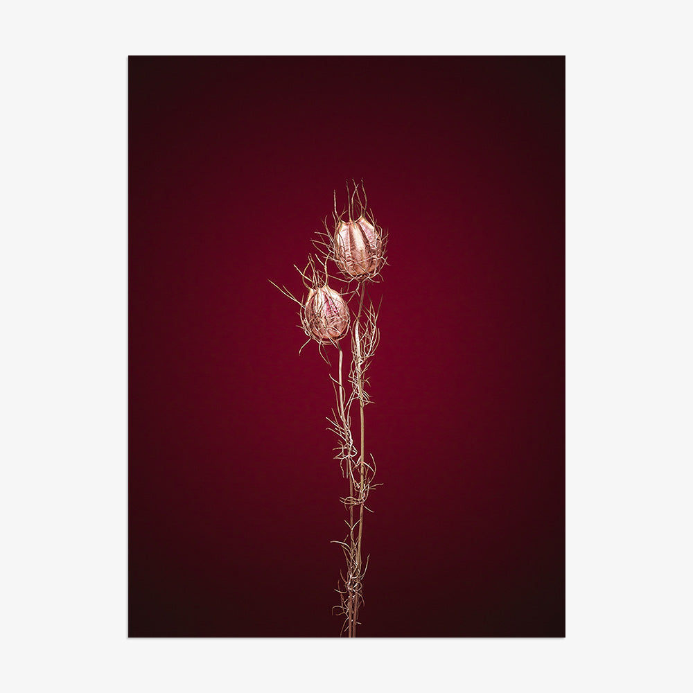 Photograph by Jan Prengel