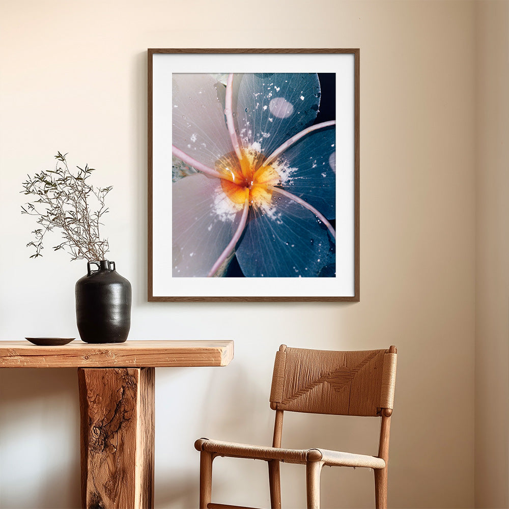 Plumeria