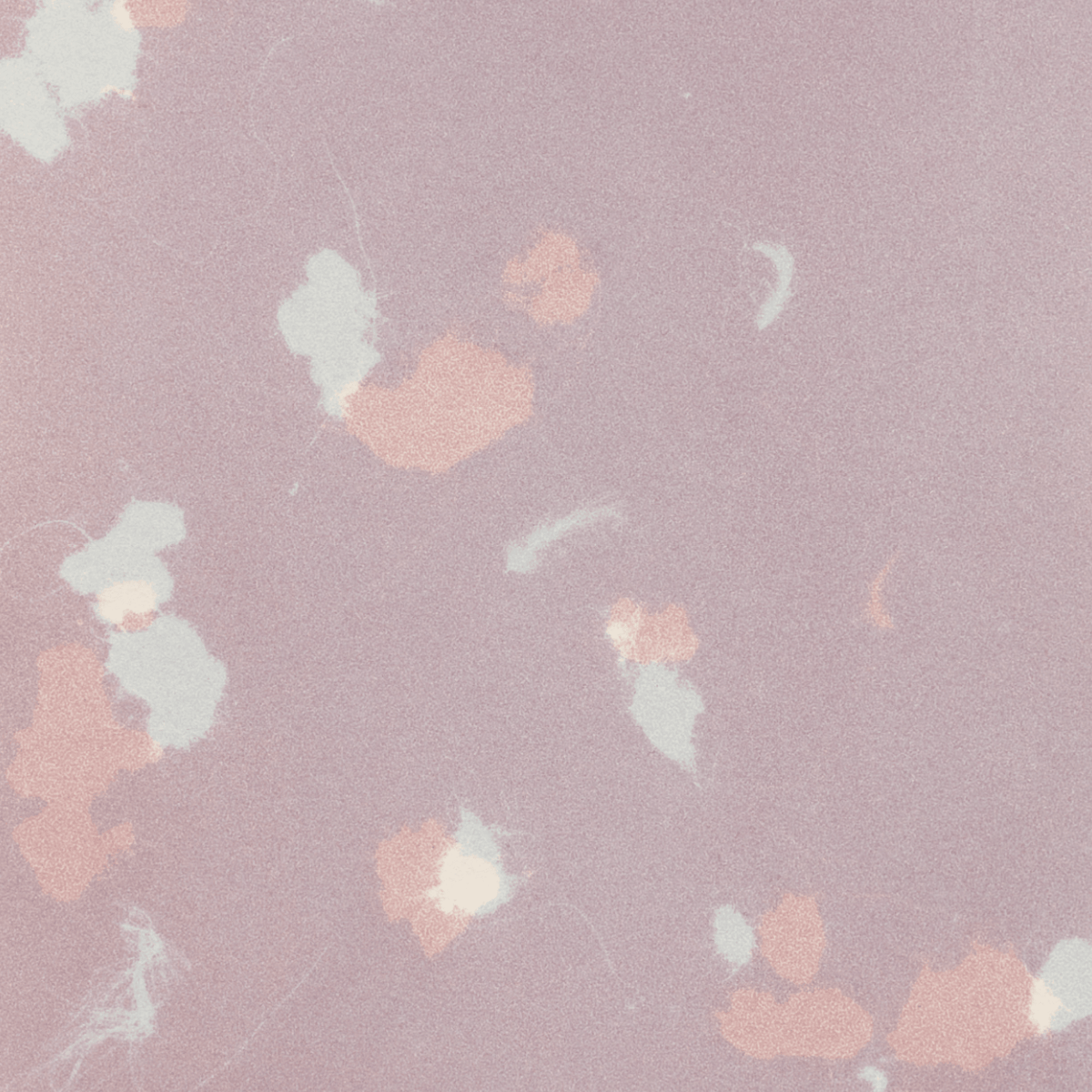 Study (Romantic Gestures) 12 , Print by Study (Romantic Gestures) 12 Tappan