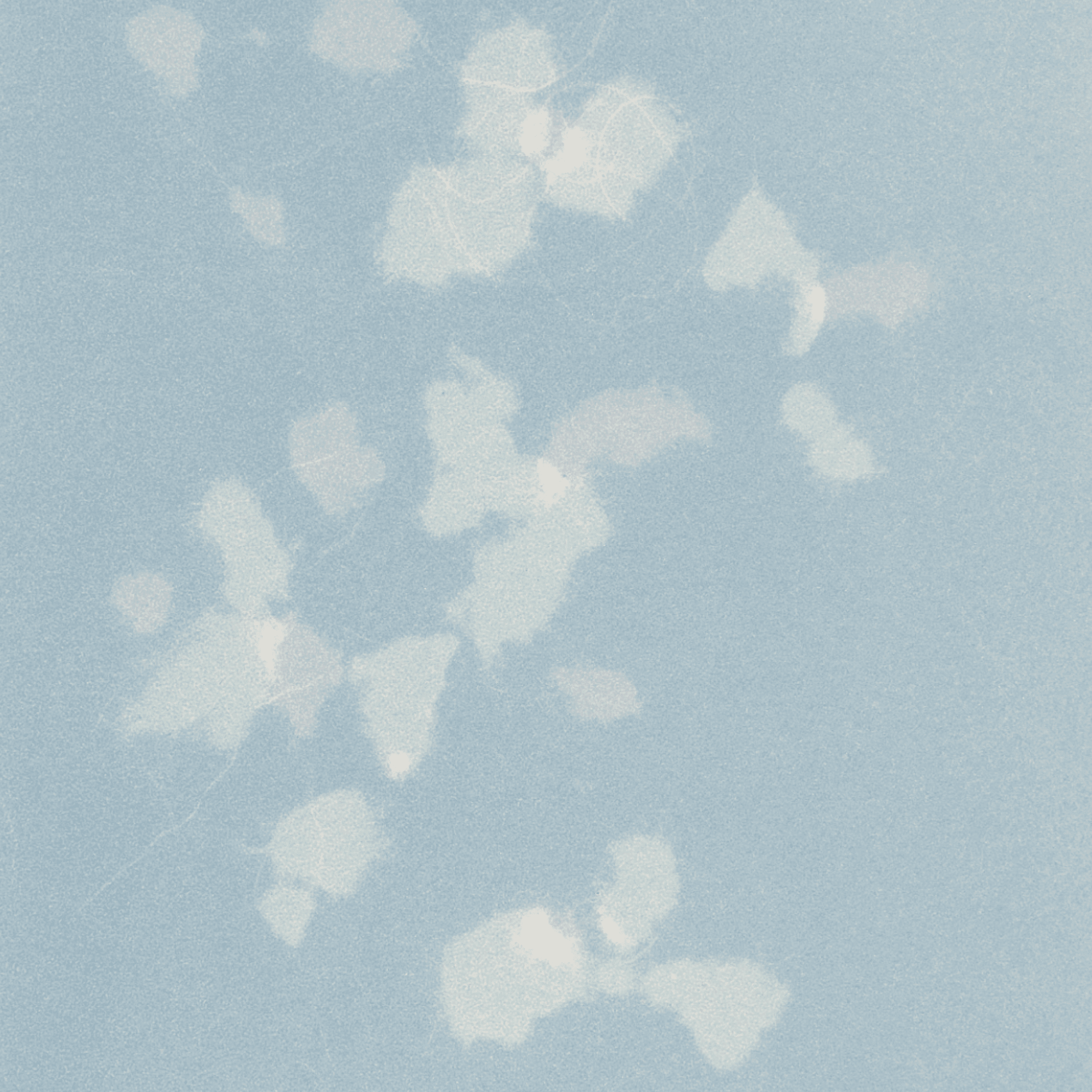 Study (Romantic Gestures) 13 , Print by Study (Romantic Gestures) 13 Tappan