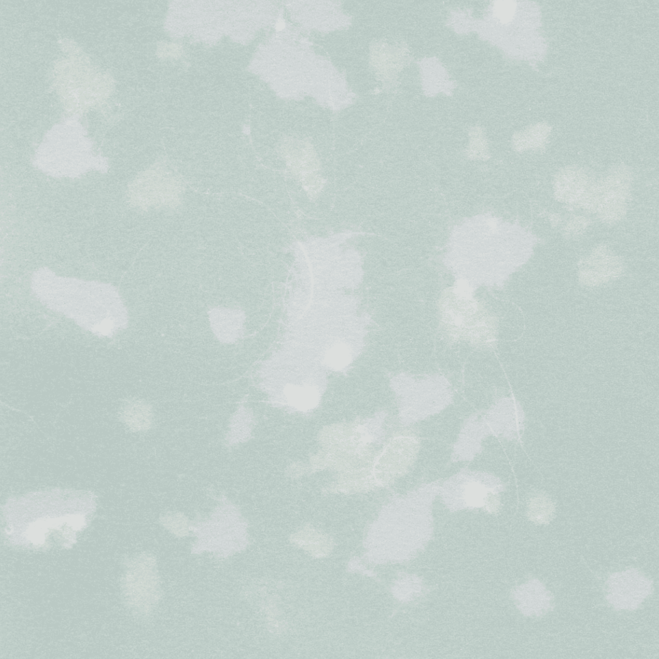 Study (Romantic Gestures) 4 , Print by Study (Romantic Gestures) 4 Tappan