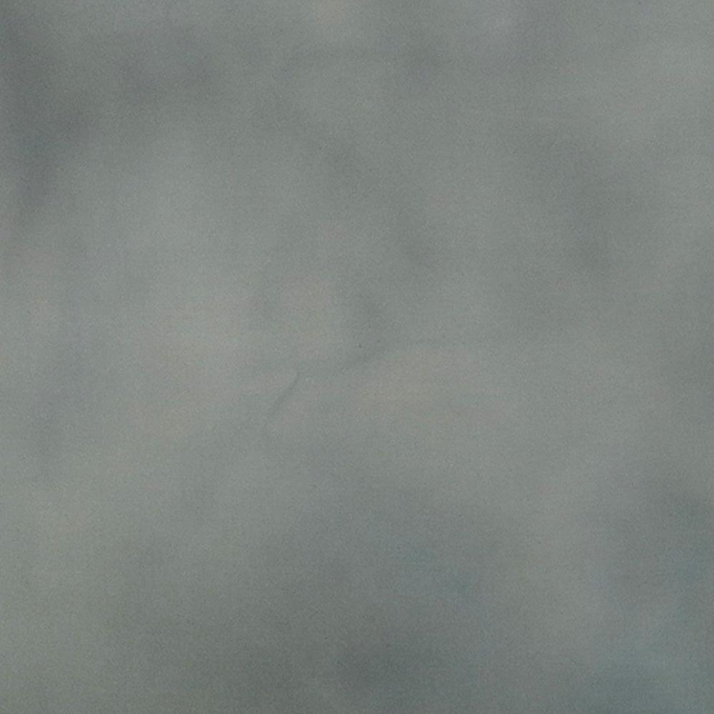 Painting by Ali Enache