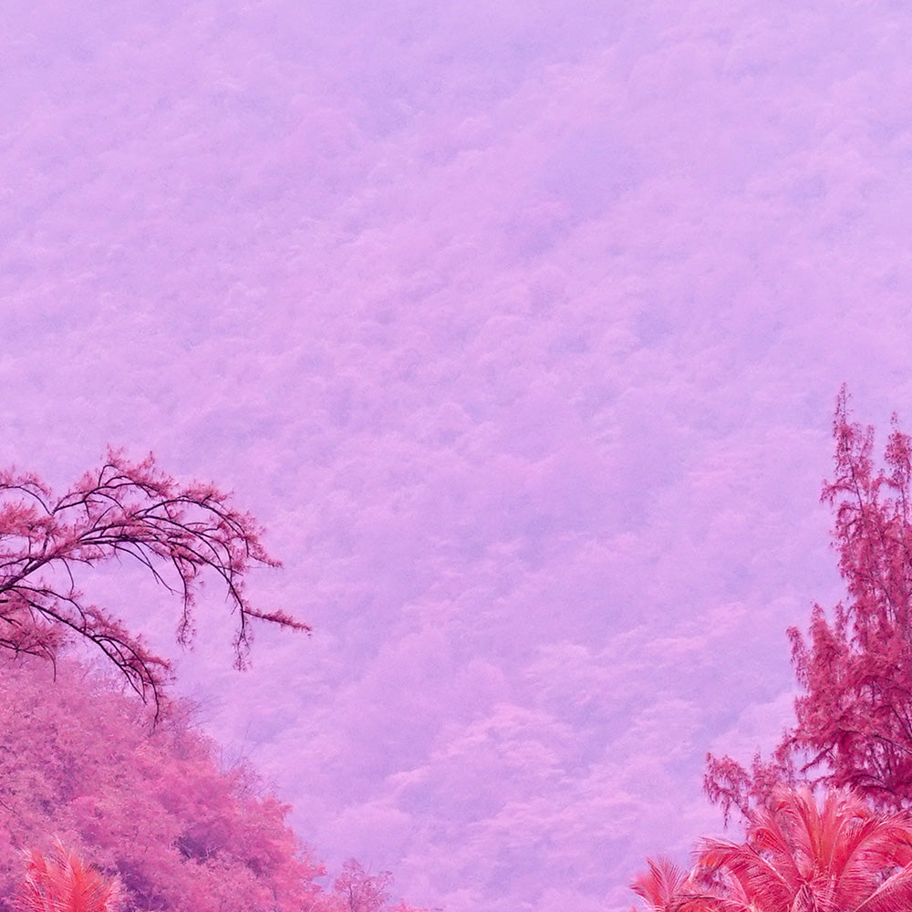 Photograph by Brian Merriam