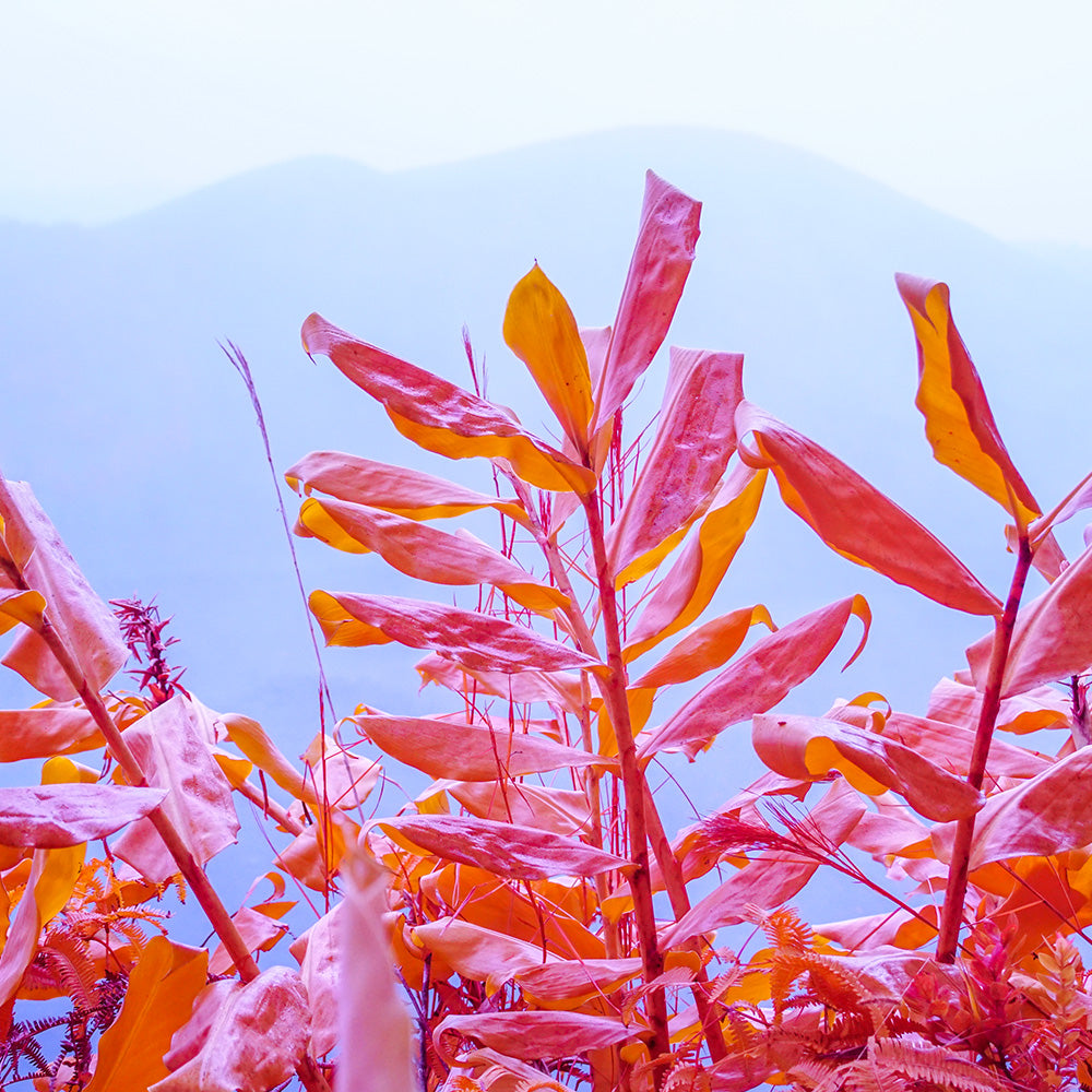 Photograph by Brian Merriam