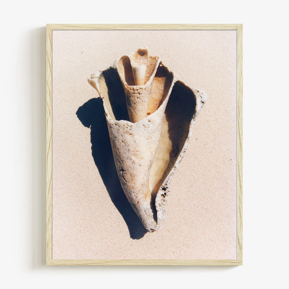 Sand