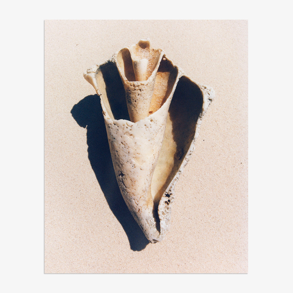 Sand