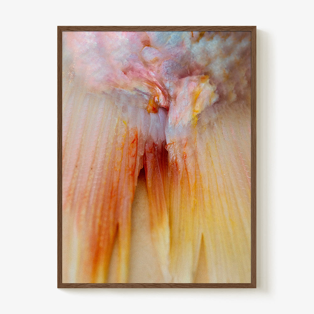 Photograph by Katie Burdon