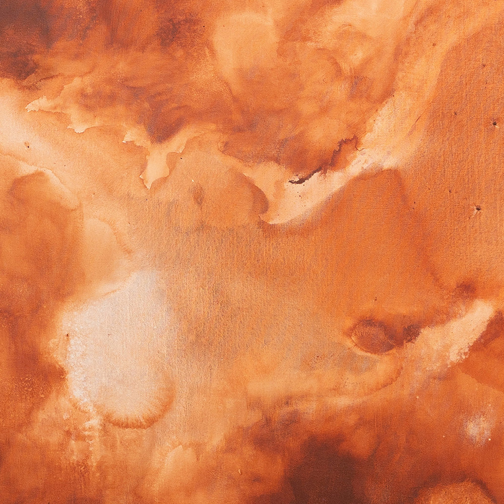 Painting by Natasha France